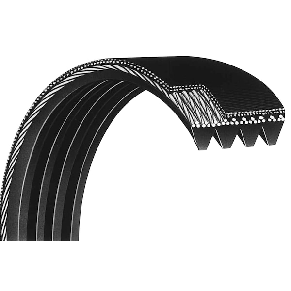 Auto Serpentine Belt, 10Pk1005